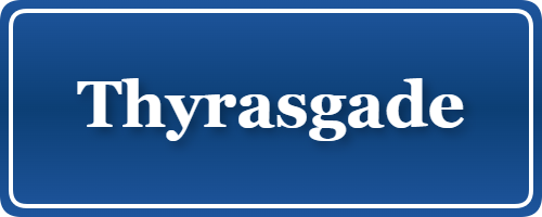 Parkering p&aring; Thyrasgade, K&oslash;benhavn