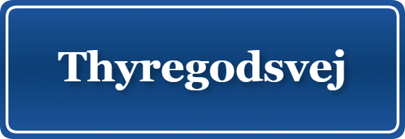 Parkering p&aring; Thyregodsvej, K&oslash;benhavn