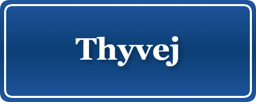 Parkering p&aring; Thyvej, K&oslash;benhavn