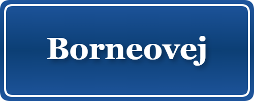 Parkering p&aring; Borneovej, K&oslash;benhavn