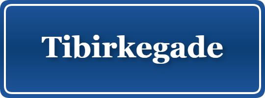 Parkering p&aring; Tibirkegade, K&oslash;benhavn