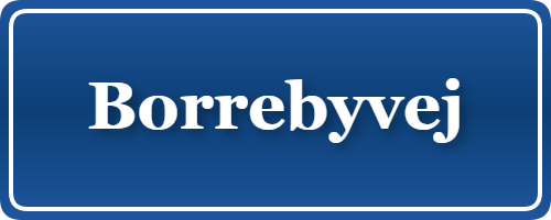 Parkering p&aring; Borrebyvej, K&oslash;benhavn