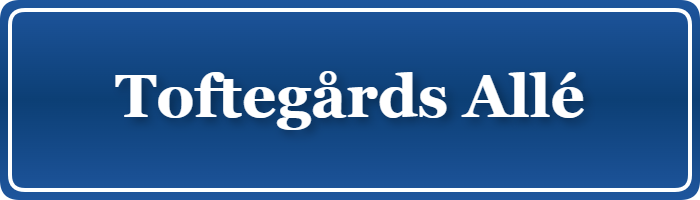 Parkering p&aring; Toftegårds Allé, K&oslash;benhavn