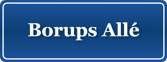 Parkering p&aring; Borups Allé, K&oslash;benhavn