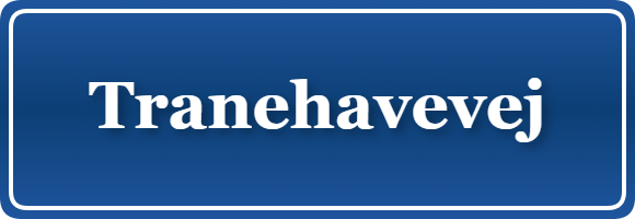 Parkering p&aring; Tranehavevej, K&oslash;benhavn