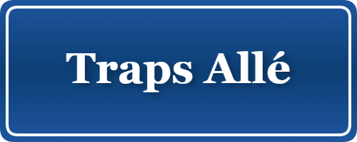 Parkering p&aring; Traps Allé, K&oslash;benhavn