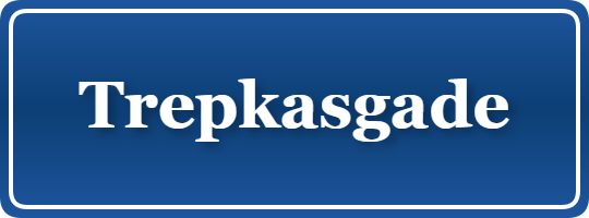 Parkering p&aring; Trepkasgade, K&oslash;benhavn