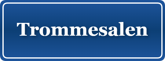 Parkering p&aring; Trommesalen, K&oslash;benhavn