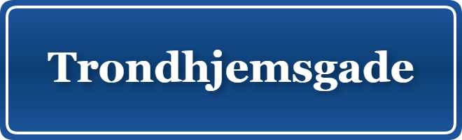 Parkering p&aring; Trondhjemsgade, K&oslash;benhavn