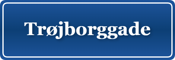 Parkering p&aring; Trøjborggade, K&oslash;benhavn