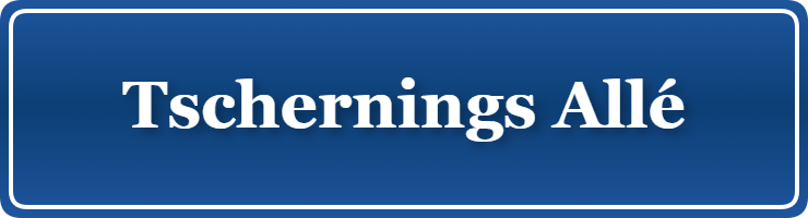 Parkering p&aring; Tschernings Allé, K&oslash;benhavn