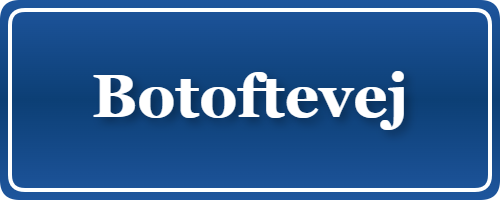 Parkering p&aring; Botoftevej, K&oslash;benhavn