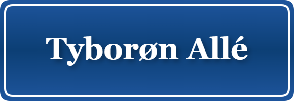 Parkering p&aring; Tyborøn Allé, K&oslash;benhavn