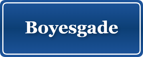 Parkering p&aring; Boyesgade, K&oslash;benhavn