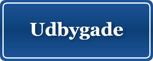 Parkering p&aring; Udbygade, K&oslash;benhavn