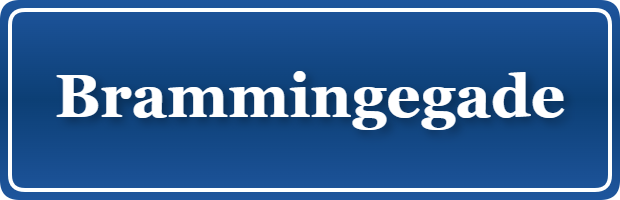 Parkering p&aring; Brammingegade, K&oslash;benhavn