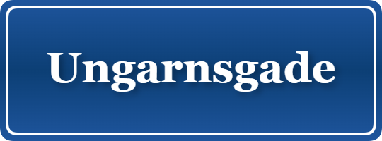 Parkering p&aring; Ungarnsgade, K&oslash;benhavn