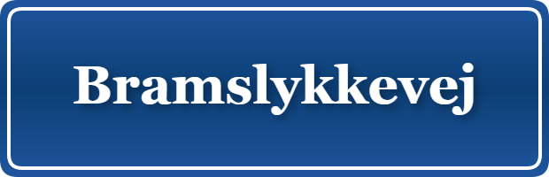 Parkering p&aring; Bramslykkevej, K&oslash;benhavn