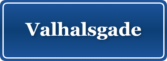 Parkering p&aring; Valhalsgade, K&oslash;benhavn