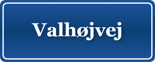 Parkering p&aring; Valhøjvej, K&oslash;benhavn