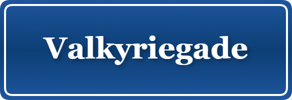 Parkering p&aring; Valkyriegade, K&oslash;benhavn