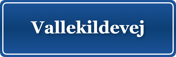 Parkering p&aring; Vallekildevej, K&oslash;benhavn