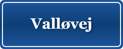 Parkering p&aring; Valløvej, K&oslash;benhavn