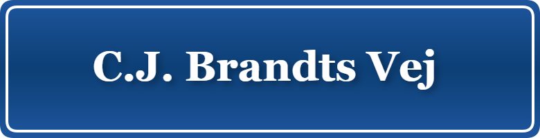 Parkering p&aring; C.J. Brandts Vej , K&oslash;benhavn