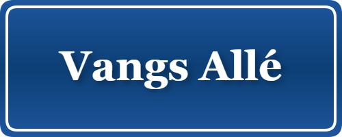 Parkering p&aring; Vangs Allé, K&oslash;benhavn