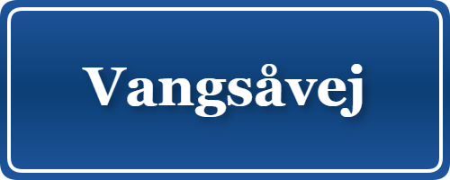 Parkering p&aring; Vangsåvej, K&oslash;benhavn