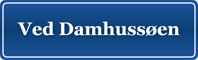 Parkering p&aring; Ved Damhussøen, K&oslash;benhavn