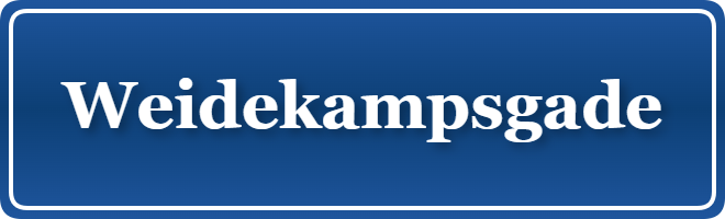 Parkering p&aring; Weidekampsgade, K&oslash;benhavn