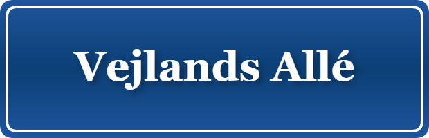 Parkering p&aring; Vejlands Allé, K&oslash;benhavn