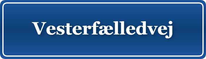 Parkering p&aring; Vesterfælledvej, K&oslash;benhavn