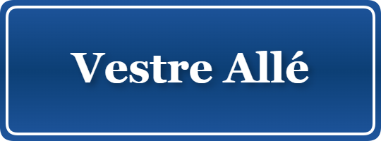 Parkering p&aring; Vestre Allé, K&oslash;benhavn