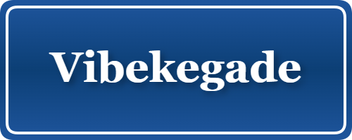 Parkering p&aring; Vibekegade, K&oslash;benhavn