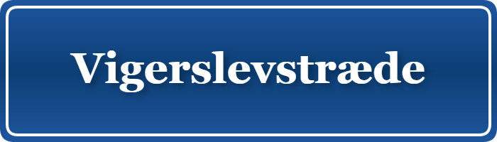 Parkering p&aring; Vigerslevstræde, K&oslash;benhavn