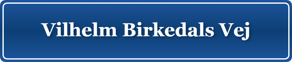 Parkering p&aring; Vilhelm Birkedals Vej, K&oslash;benhavn