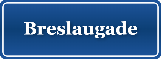 Parkering p&aring; Breslaugade, K&oslash;benhavn