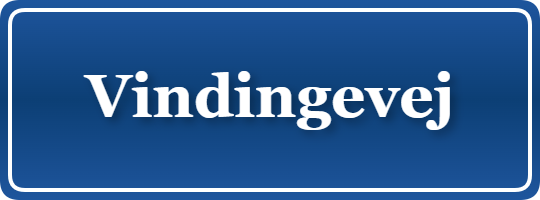 Parkering p&aring; Vindingevej, K&oslash;benhavn