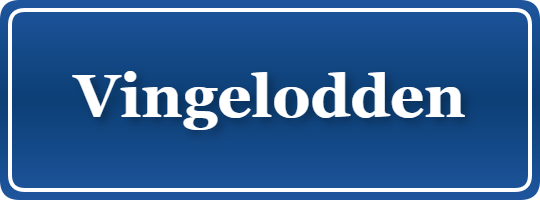 Parkering p&aring; Vingelodden, K&oslash;benhavn