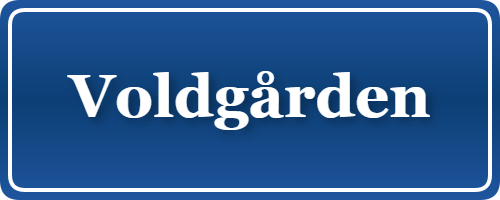 Parkering p&aring; Voldgården, K&oslash;benhavn