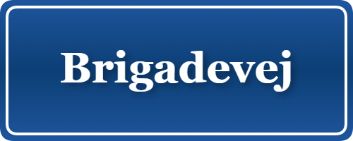 Parkering p&aring; Brigadevej, K&oslash;benhavn