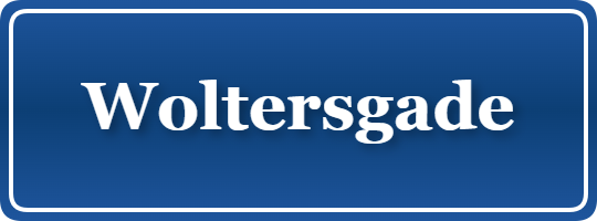 Parkering p&aring; Woltersgade, K&oslash;benhavn