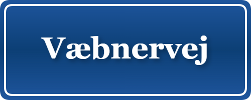 Parkering p&aring; Væbnervej, K&oslash;benhavn