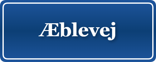 Parkering p&aring; Æblevej, K&oslash;benhavn