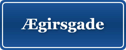 Parkering p&aring; Ægirsgade, K&oslash;benhavn