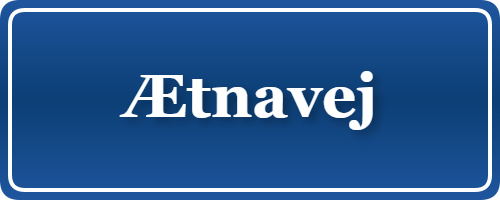 Parkering p&aring; Ætnavej, K&oslash;benhavn