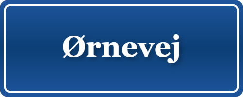 Parkering p&aring; Ørnevej, K&oslash;benhavn