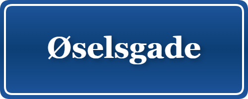 Parkering p&aring; Øselsgade, K&oslash;benhavn